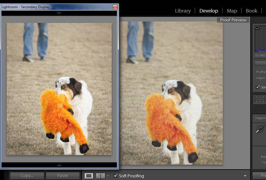 lightroom-soft-proof-with-copy lightroom-soft-proof-with-copy-second-display