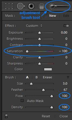 Adjustment Brush Settings