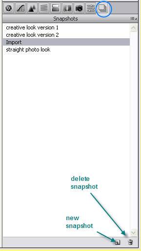Snapshot Panel in Adobe Camera Raw