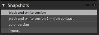 Snapshot Panel in Lightroom