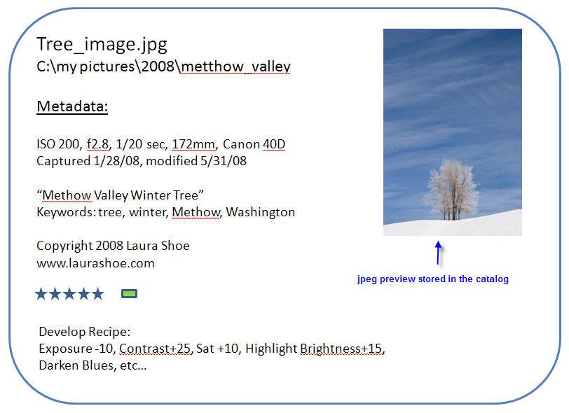 An Image Catalog Entry