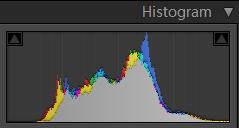 Histogram after Processing