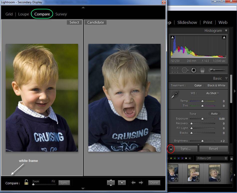 Using Lightroom Compare View to Develop Images Side by Side