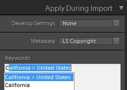 Lightroom keyword hierarchy assign on import