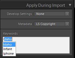 Lightroom keyword hierarchy import select