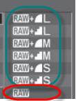 raw+jpeg options canon-5d