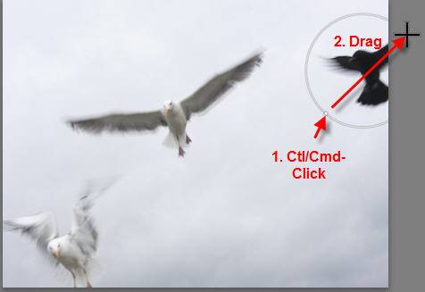 lightroom-spot-removal-tip-ctl/cmd-drag