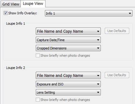 Lightroom Library and Develop View Options