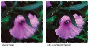 Photoshop CC Camera Shake Reduction Filter