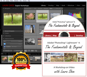 lightroom 4 tutorials