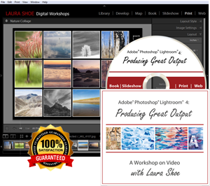 Lightroom Fundamentals & Beyond Training Video Tutorials