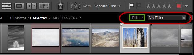 Lightroom filmstrip filter