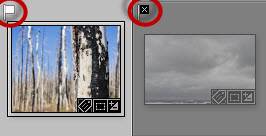 Pick and Reject Flags in Lightroom Thumbnails