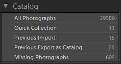 Lightroom Catalog Panel