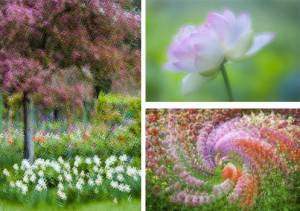 Charles Needle Impressionistic Photography