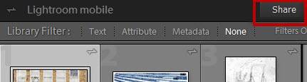 Lightroom Synced Collection Share Button