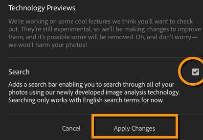 Lightroom Web: Activate Search