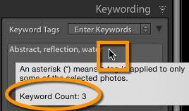 Hover over keywording box for keyword count