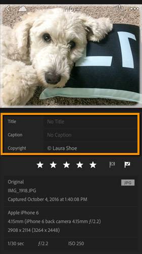 Title, Caption, Copyright are editable fields. 