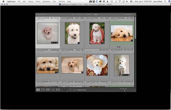 Lightroom's Library Module Panels Go Black