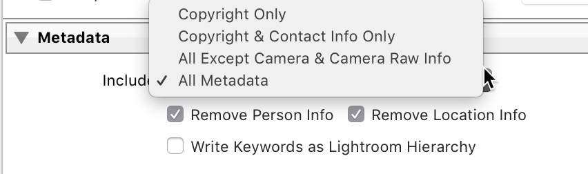 Lightroom Export: Metadata - Privacy