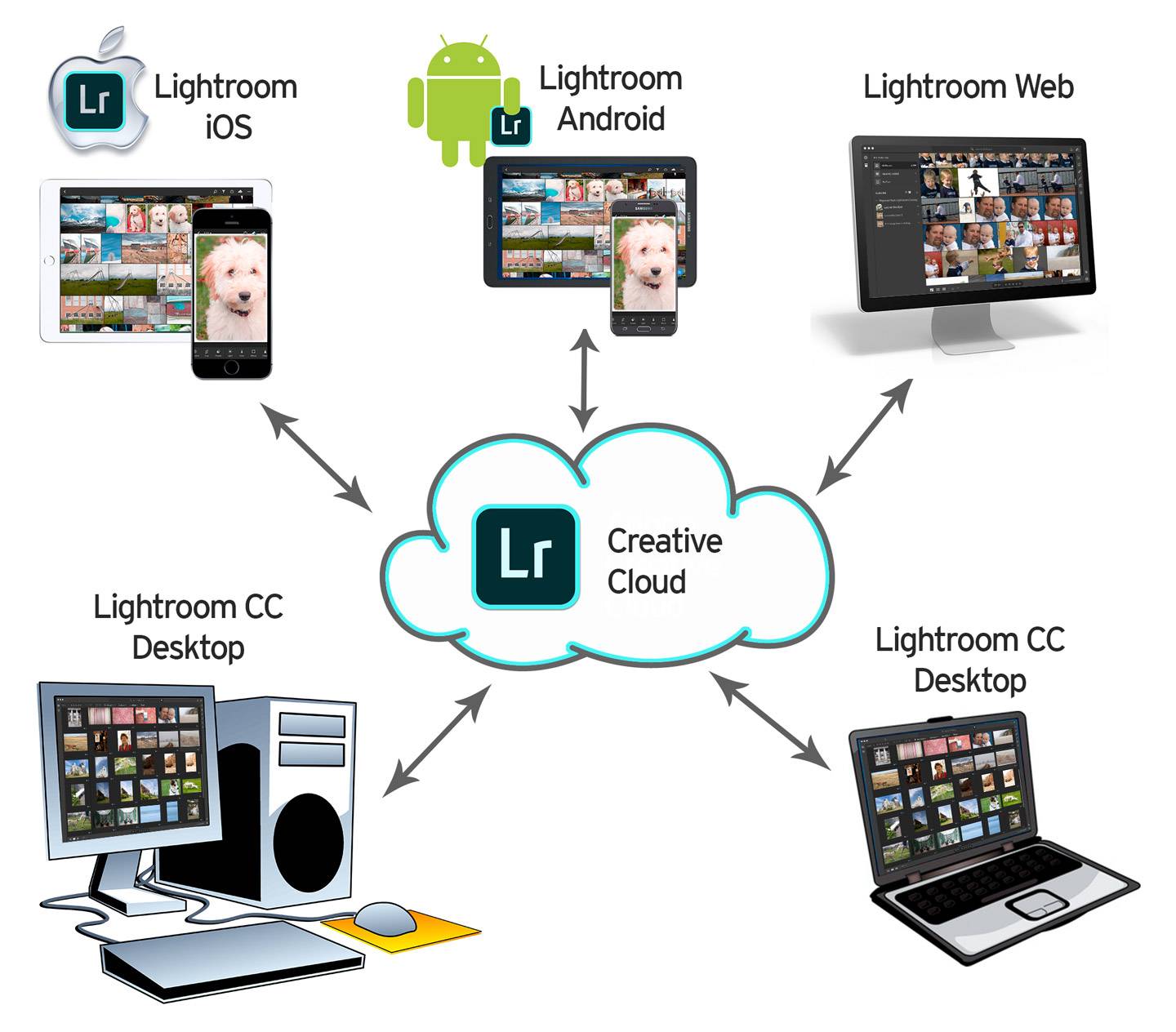 Lightroom CC Ecosystem