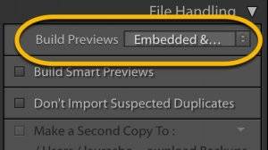 Lightroom Embedded Previews Selection