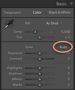 Lightroom Classic Auto Function in the Develop Module