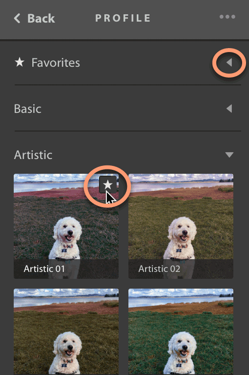 How to Add Lightroom Profiles to Favorites