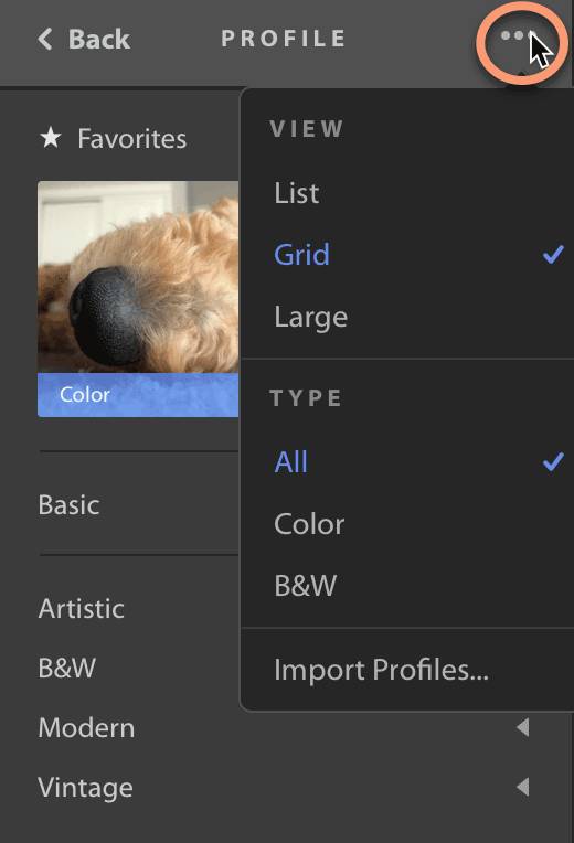 Change preview style of profiles in Lightroom CC