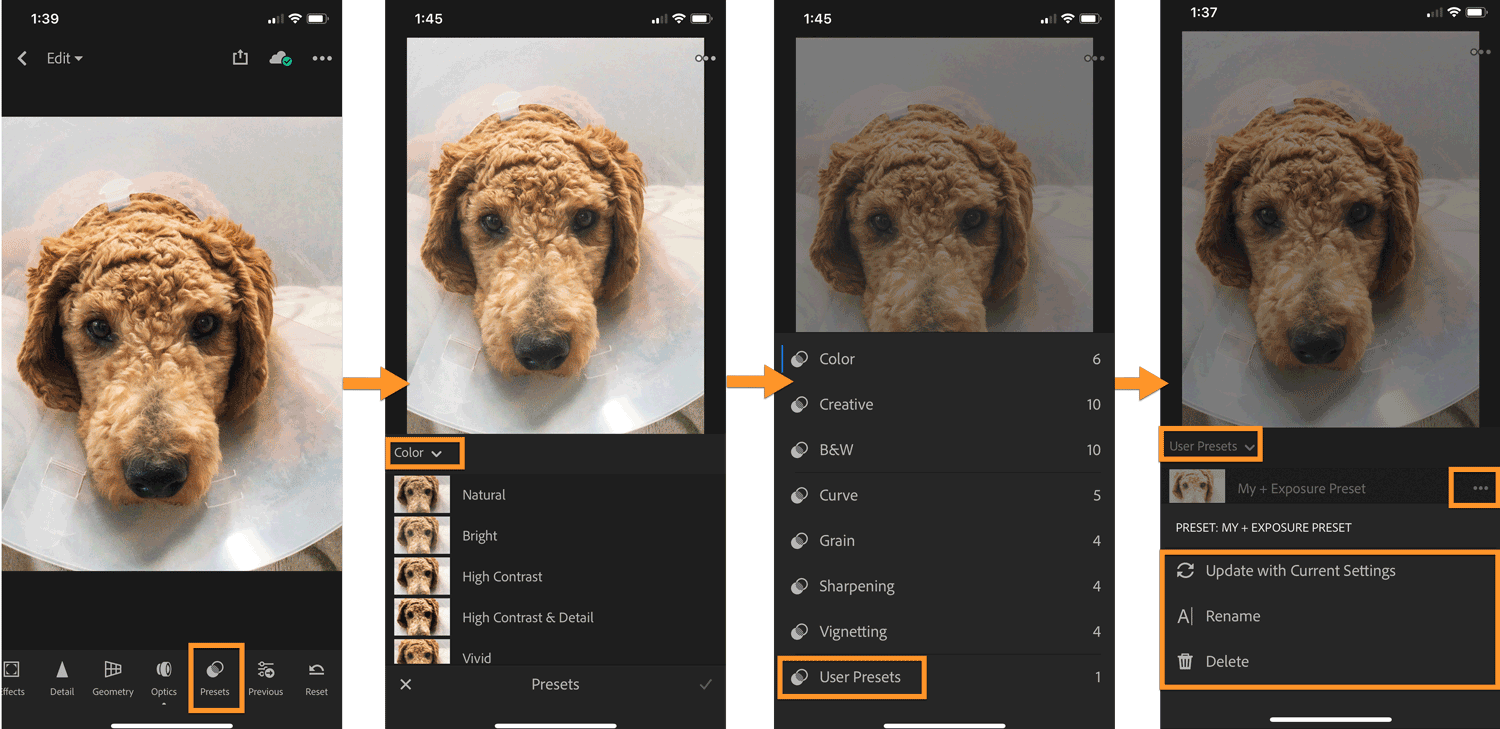 Lightroom CC mobile: apply and manage presets