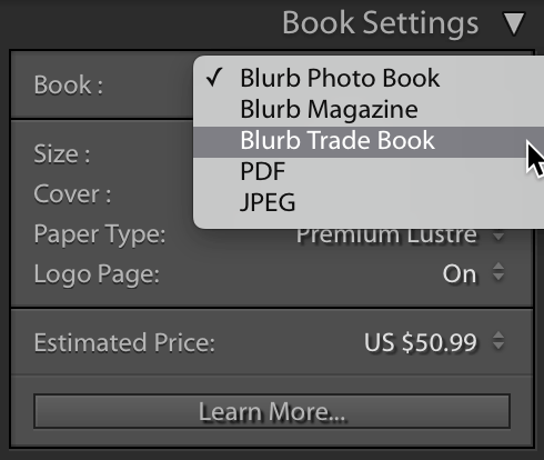 Lightroom Classic Book Options