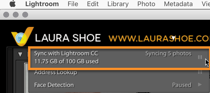 Turn Syncing On/Off in Lightroom Classic