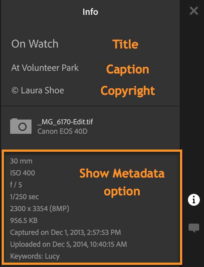 Sharing an Album/Collection from Lightroom: Show Metadata Option