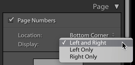 Lightroom Book page number options