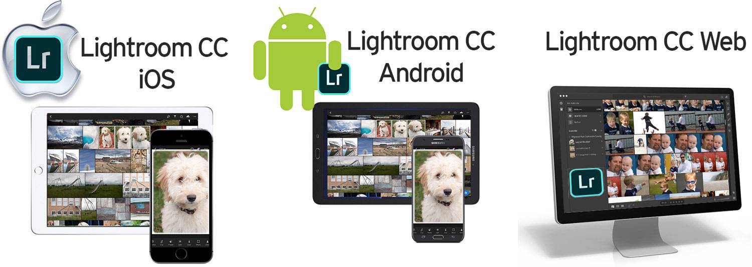 Lightroom CC iOS, Android and Web