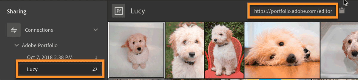 Accessing Adobe Portfolio from Lightroom CC