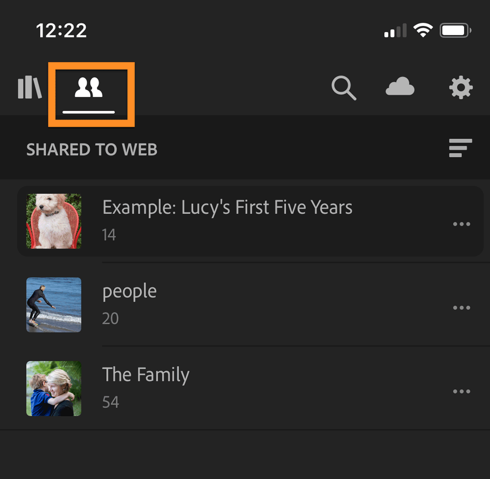 Lightroom CC iOS and Android Share Tab