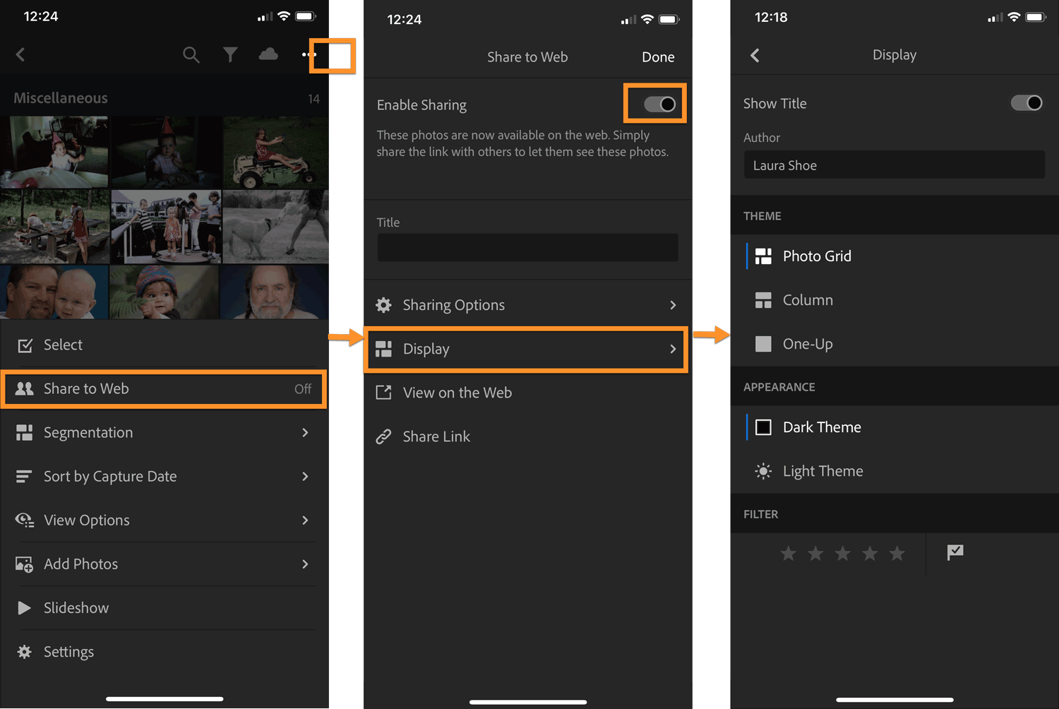 Display and Filter Options for Shared Albums - Lightroom iOS and Android