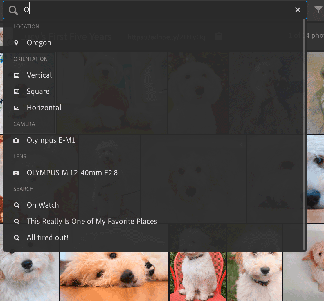 Lightroom CC Search Improvement: Auto-Fill