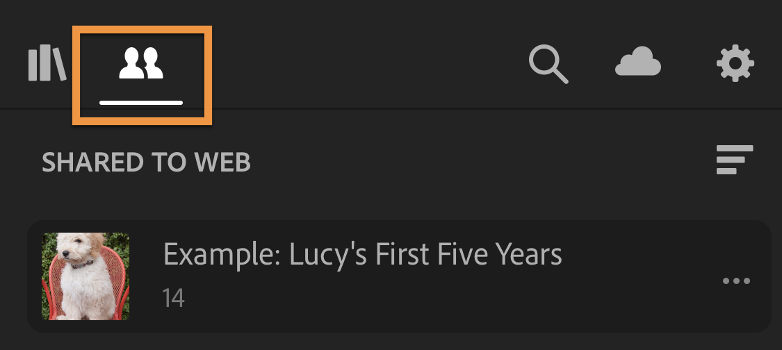 Lightroom CC Android: Share Tab