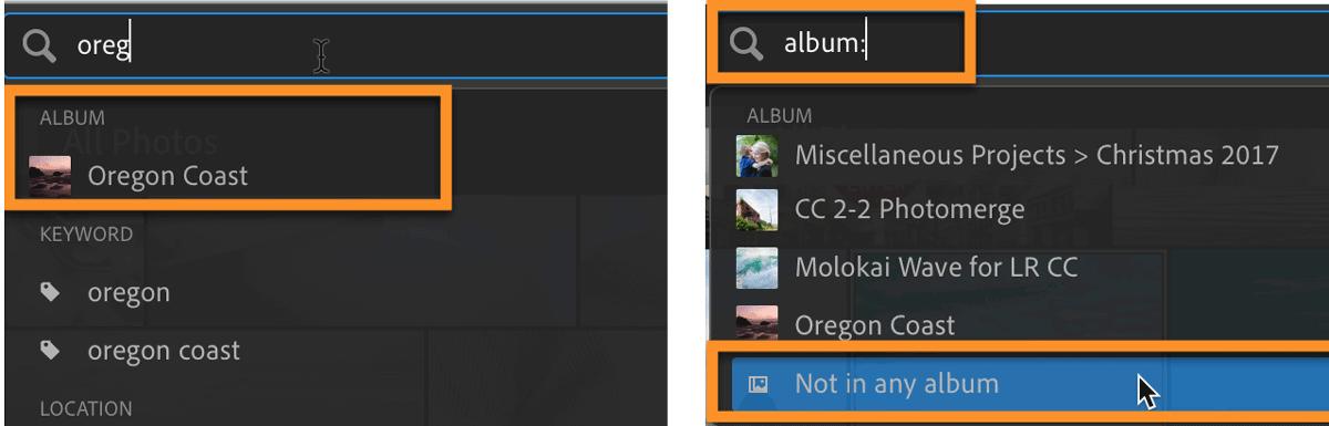 Lightroom CC Album Search