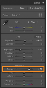 Texture in Lightroom Classic's Basic Panel
