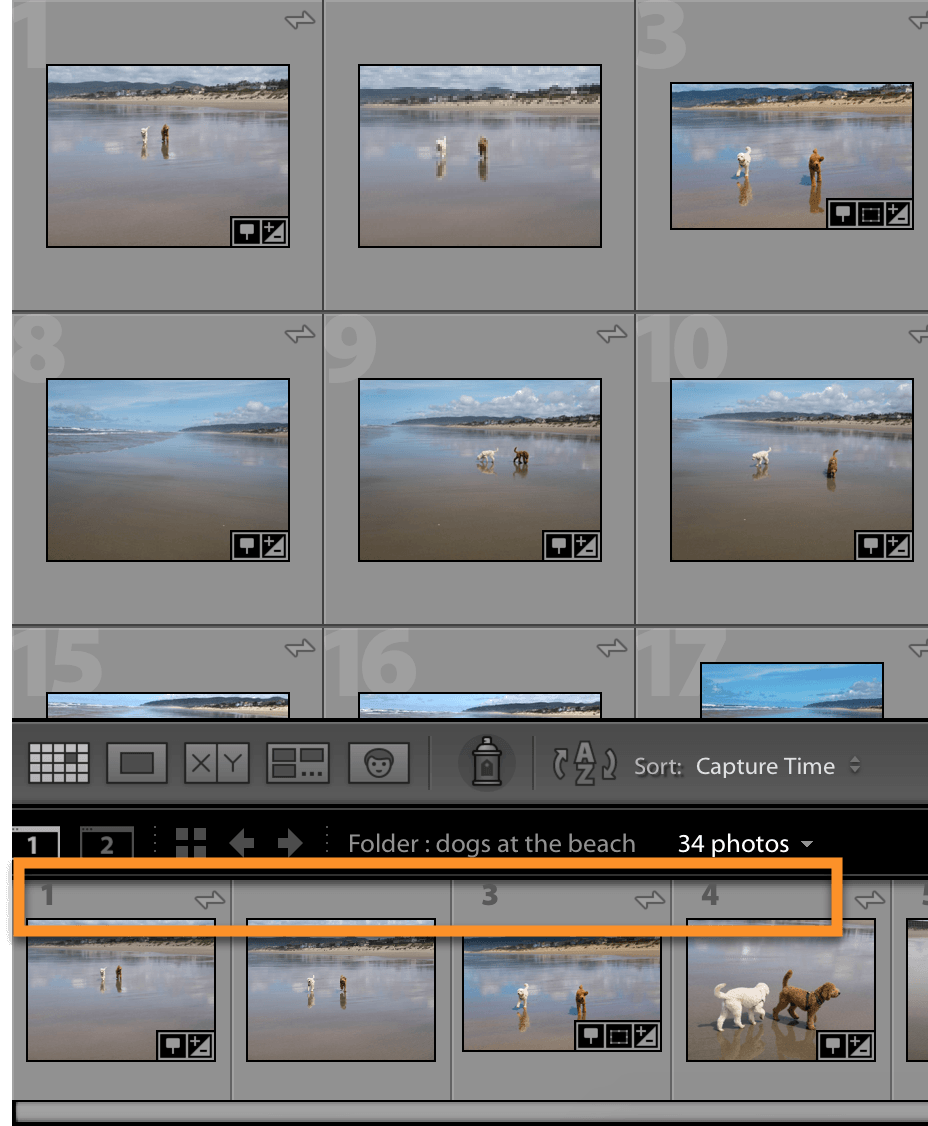 Lightroom Classic: Filmstrip Index Numbers