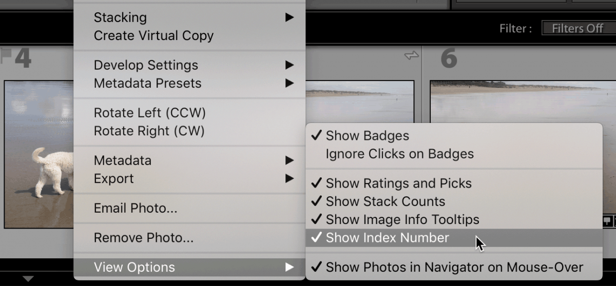 Lightroom Classic turn filmstrip index numbers on and off Laura Shoe