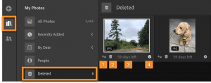 Recover deleted photo files in cloud-based Lightroom