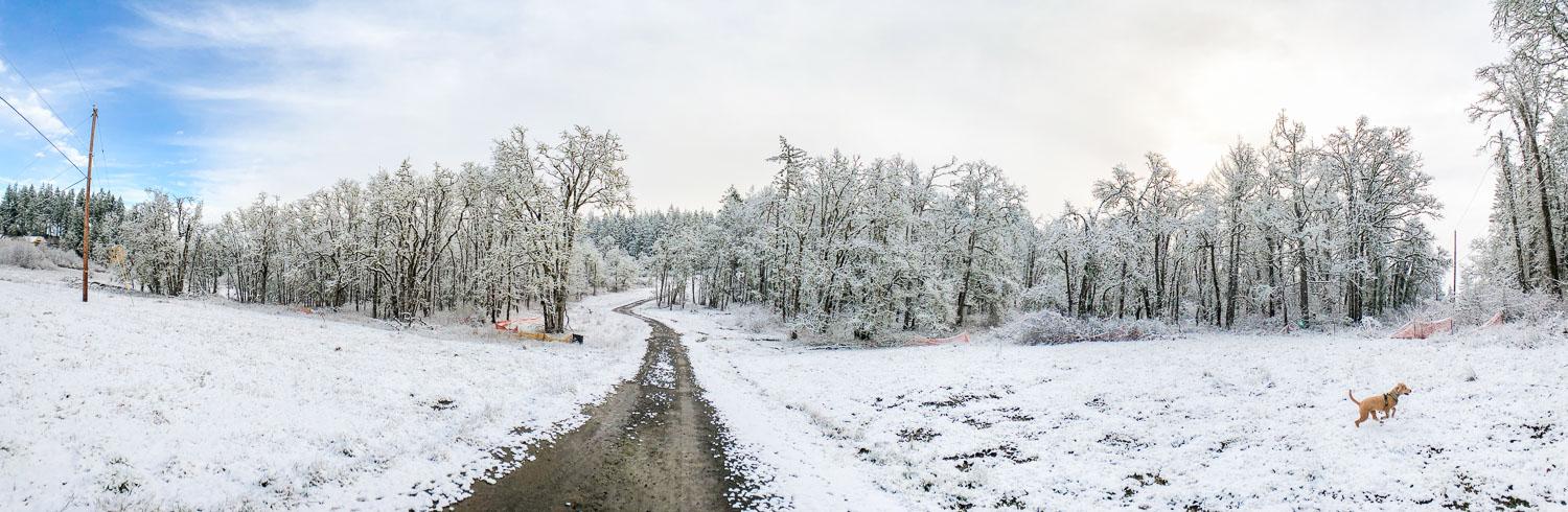 Lightroom Classic Panorama: Boundary Warp