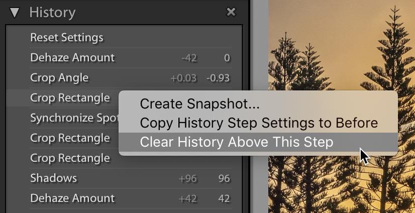 Lightroom Classic: Clear History Above This Step