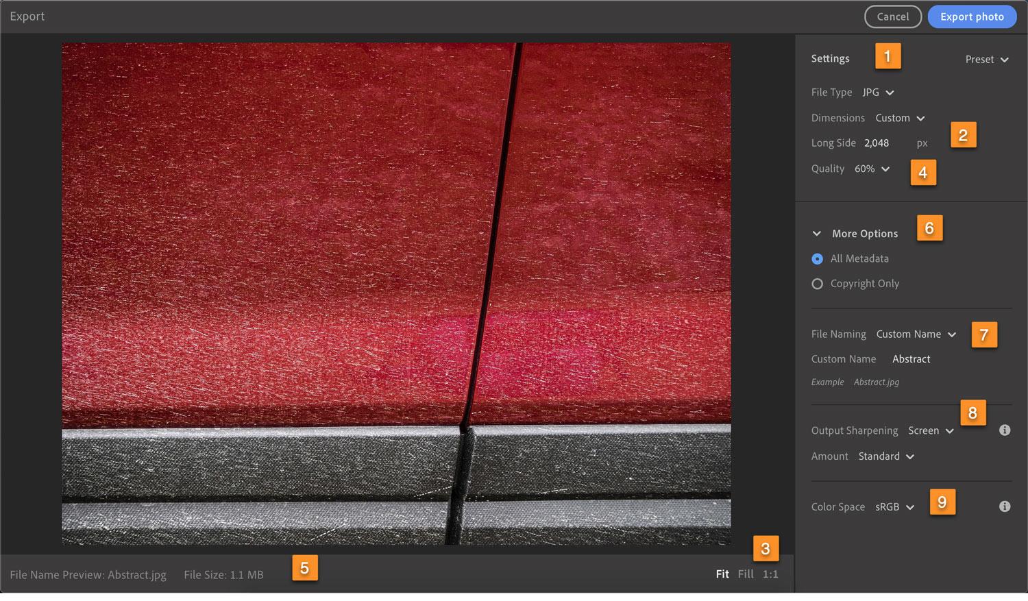 Expanded Export Dialog in Cloud-Based Lightroom 3