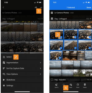 Lightroom Mobile iOS: Batch Editing - Paste Settings